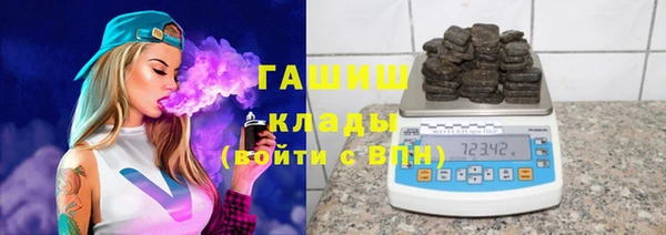 индика Беломорск