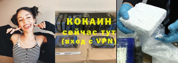 индика Беломорск