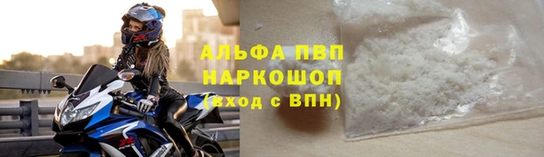 индика Беломорск