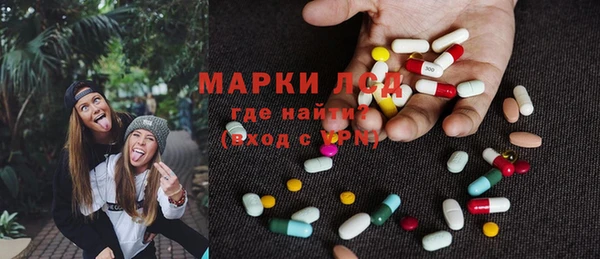 индика Беломорск